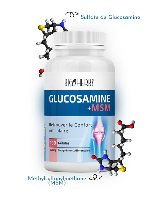 Glucosamine + MSM  -  100 Gélules