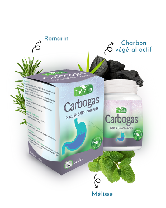 Carbogas - 30 Gélules