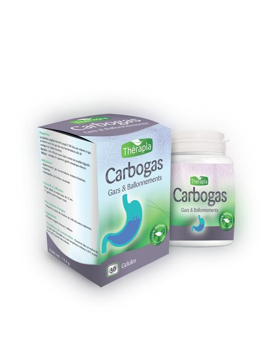 Carbogas - 30 Gélules